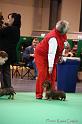 Crufts2011_2 539